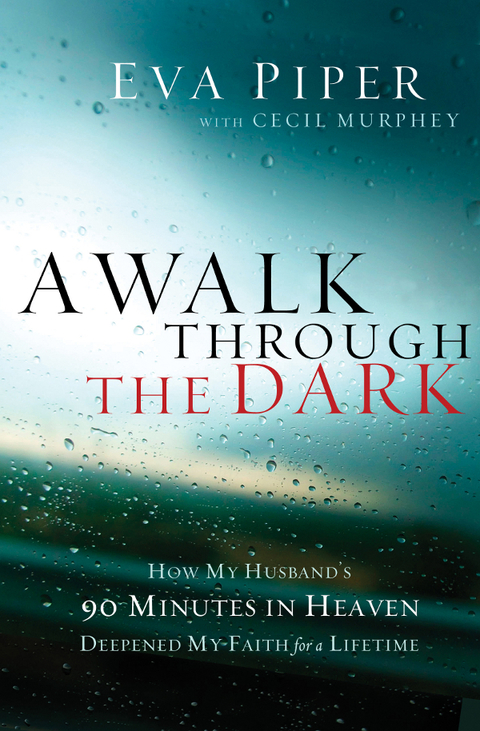 Cover image for book A Walk Through the Dark