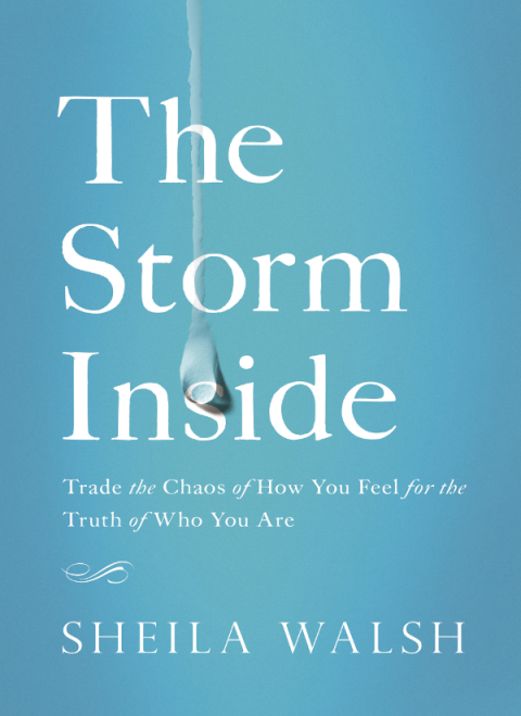 Cover image for book The Storm Inside