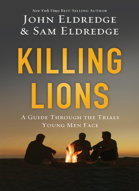 Cover image for book Killing Lions