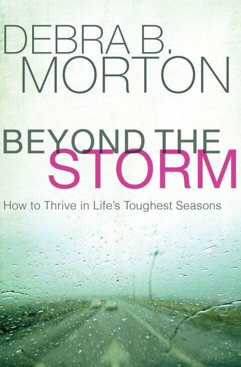 Cover image for book Beyond the Storm
