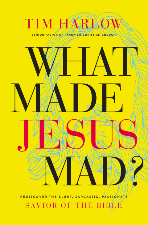 Cover image for book What Made Jesus Mad?