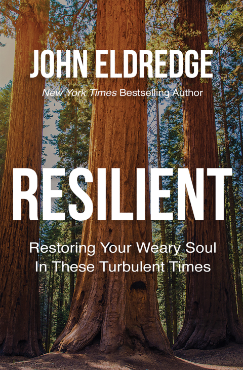 Cover image for book Resilient