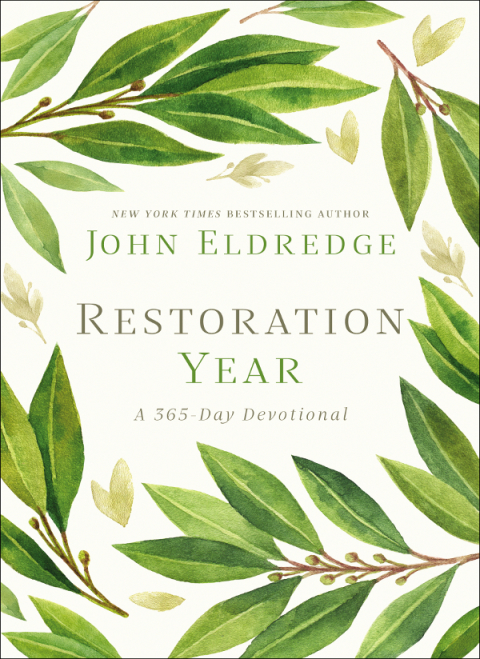 Cover image for book Restoration Year