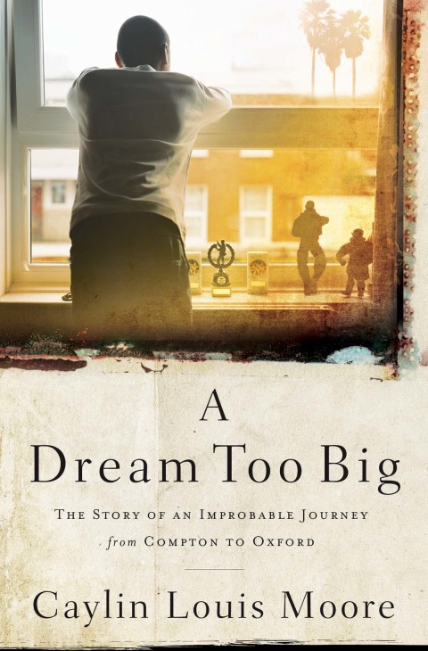 Cover image for book A Dream Too Big