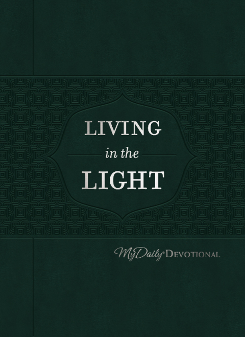 Cover image for book Living in the Light