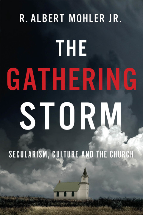 Cover image for book The Gathering Storm