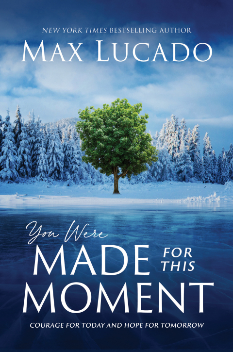 Cover image for book You Were Made for This Moment