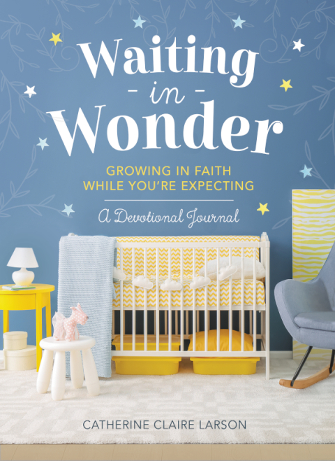 Cover image for book Waiting in Wonder