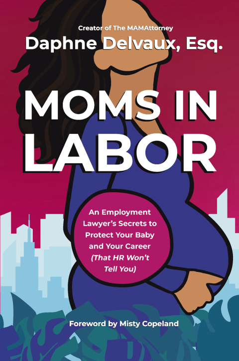 Cover image for book Moms in Labor