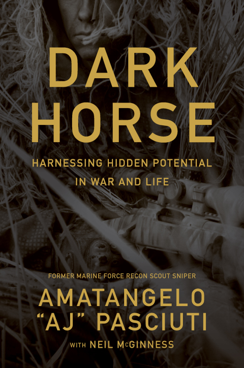 Cover image for book Darkhorse