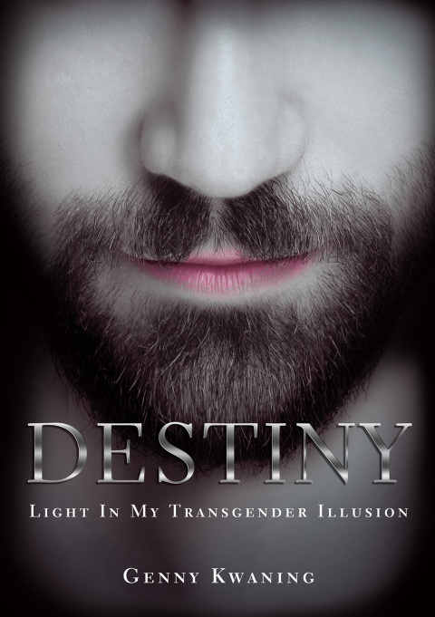 Cover image for book Destiny