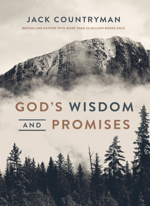 Cover image for book God's Wisdom and Promises