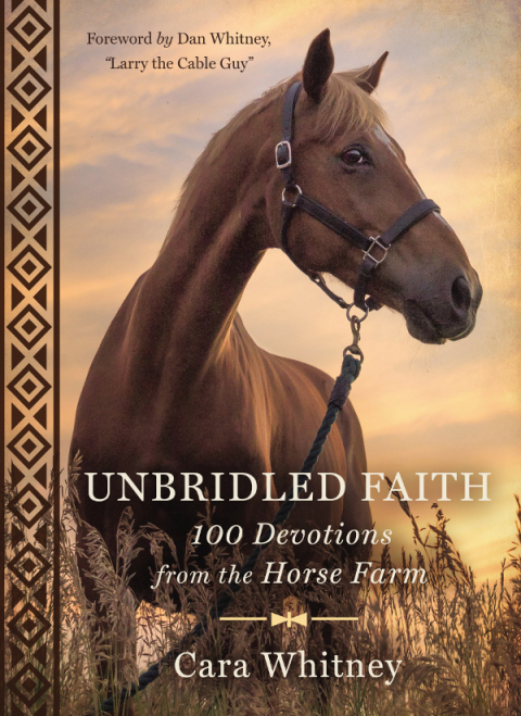 Cover image for book Unbridled Faith