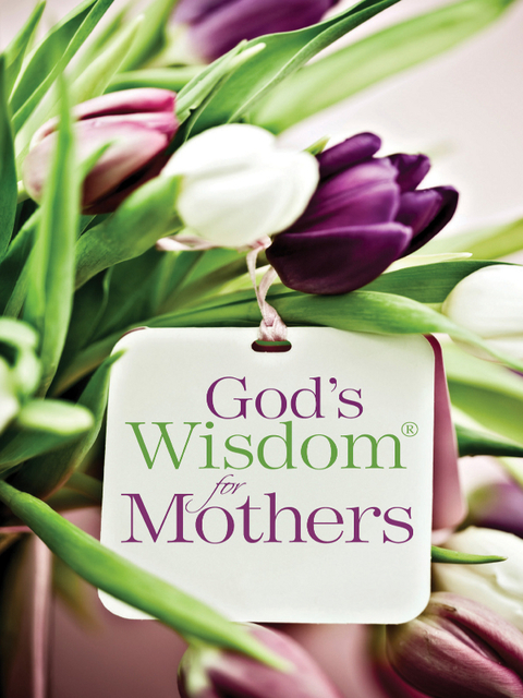 Cover image for book God's Wisdom for Mothers