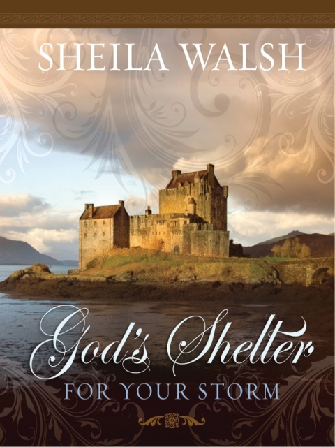 Cover image for book God's Shelter for Your Storm