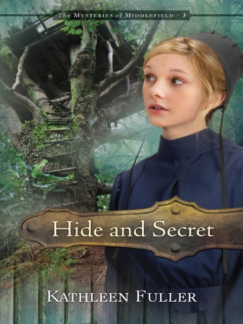 Cover image for book Hide and Secret