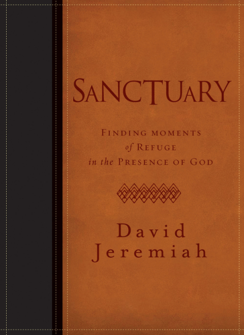 Cover image for book Sanctuary