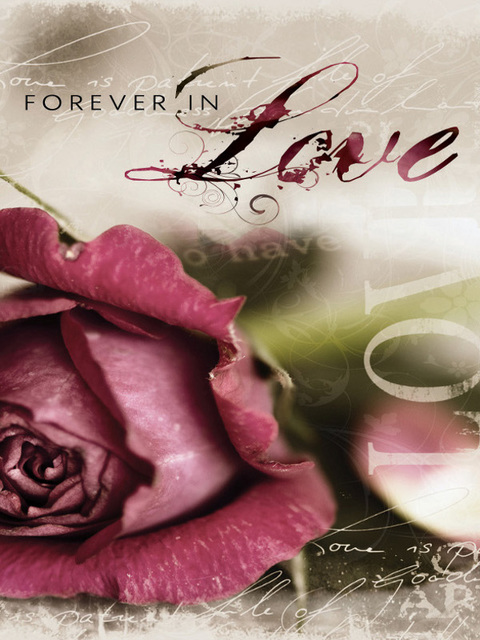 Cover image for book Forever in Love