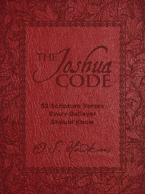 Cover image for book The Joshua Code