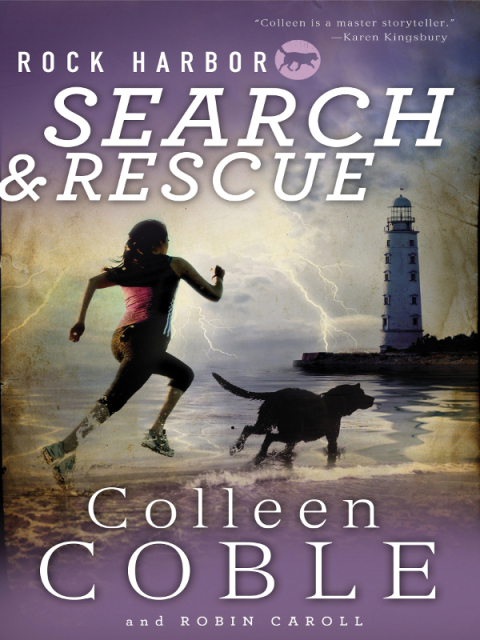 Cover image for book Rock Harbor Search and Rescue