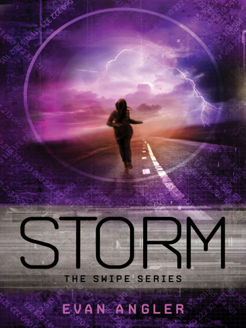 Cover image for book Storm