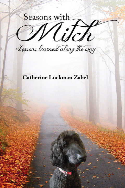 Cover image for book Seasons With Mitch