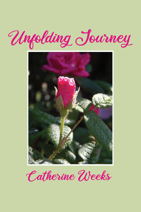 Cover image for book Unfolding Journey