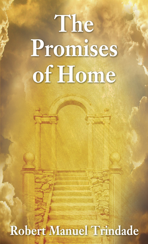 Cover image for book The Promises of Home