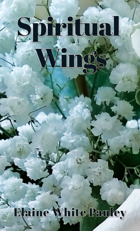 Cover image for book Spiritual Wings