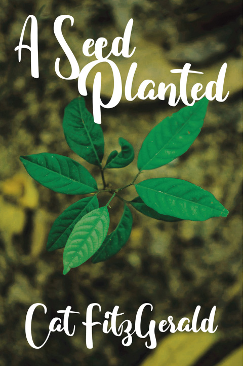 Cover image for book A Seed Planted