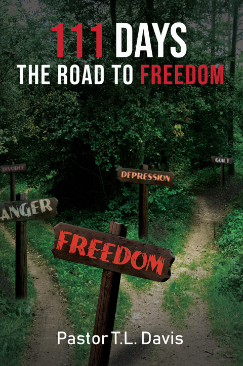 Cover image for book 111 Days