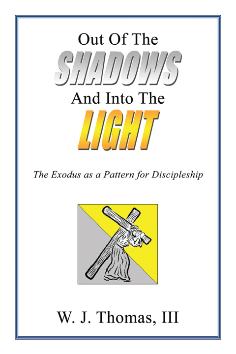 Cover image for book Out Of The Shadows And Into The Light
