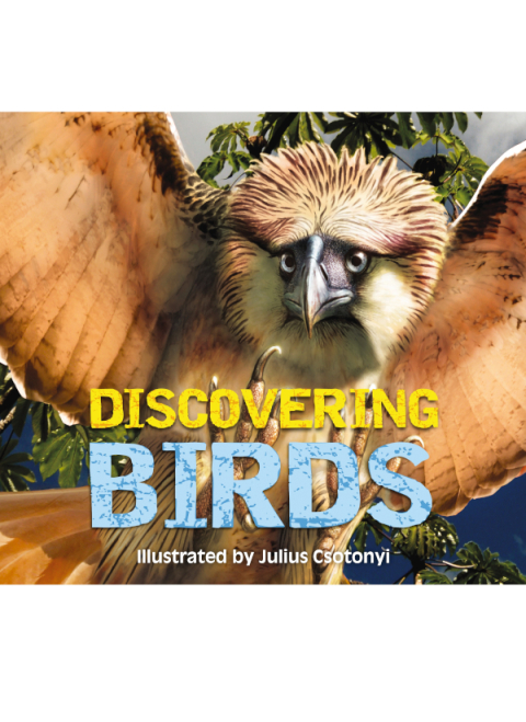 Cover image for book Discovering Birds