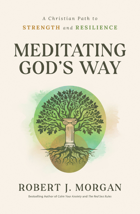 Cover image for book Meditating God's Way