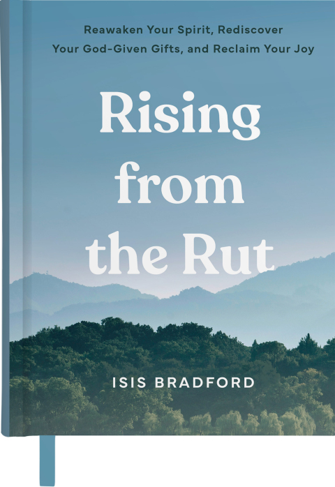 Cover image for book Rising from the Rut