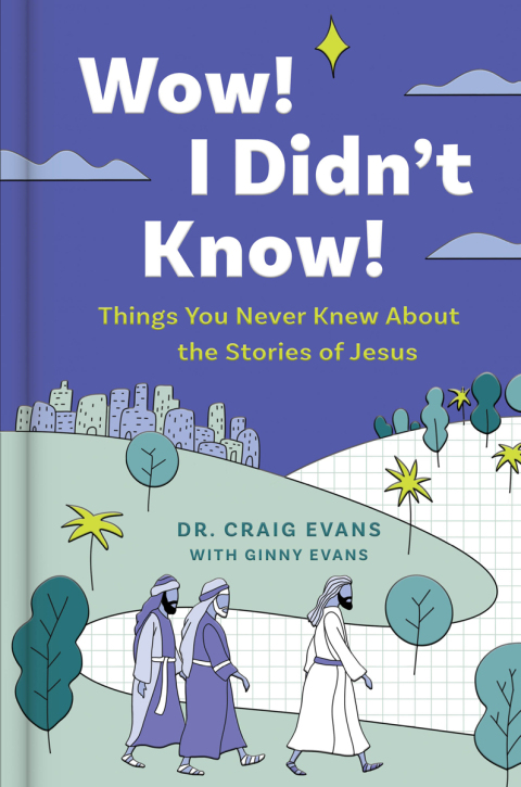 Cover image for book Wow! I Didn't Know!: Things You Never Knew About the Stories of Jesus