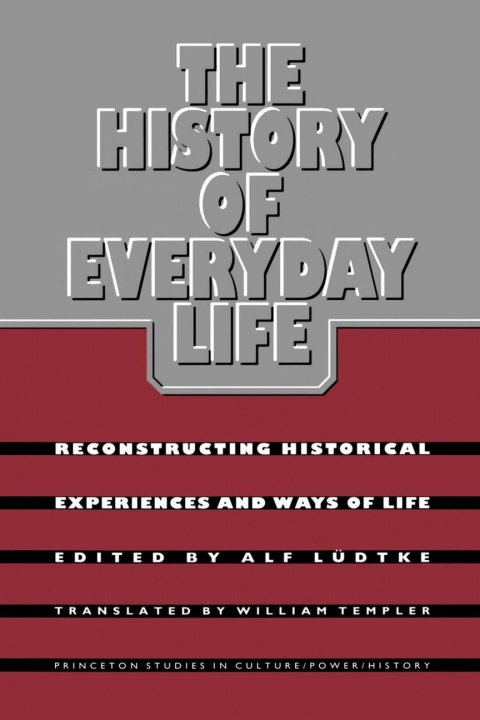 Cover image for book The History of Everyday Life