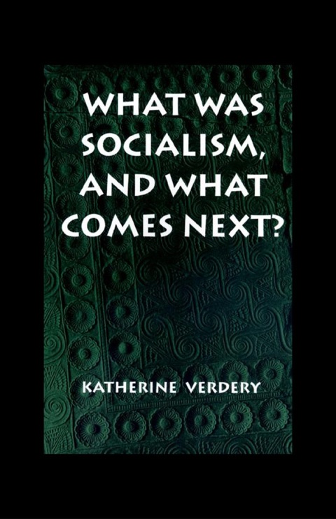 Cover image for book What Was Socialism, and What Comes Next?