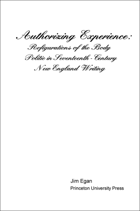 Cover image for book Authorizing Experience