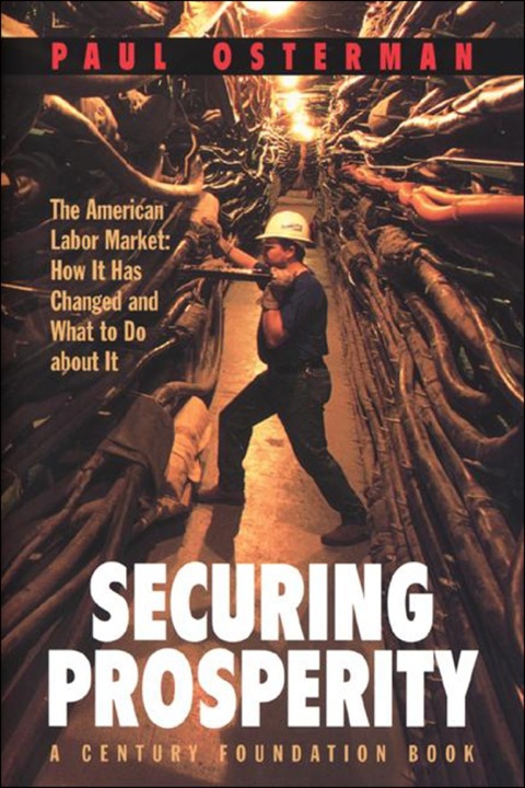 Cover image for book Securing Prosperity