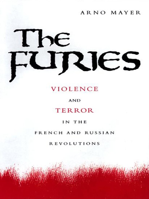 Cover image for book The Furies