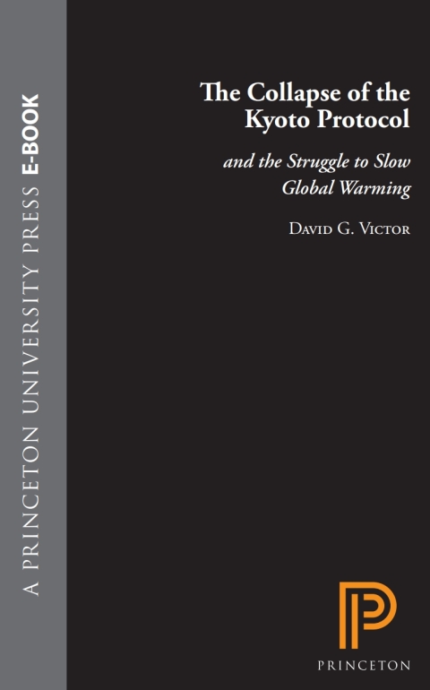 Cover image for book The Collapse of the Kyoto Protocol and the Struggle to Slow Global Warming