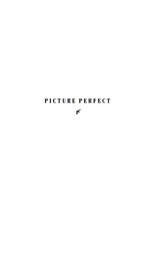Picture Perfect
