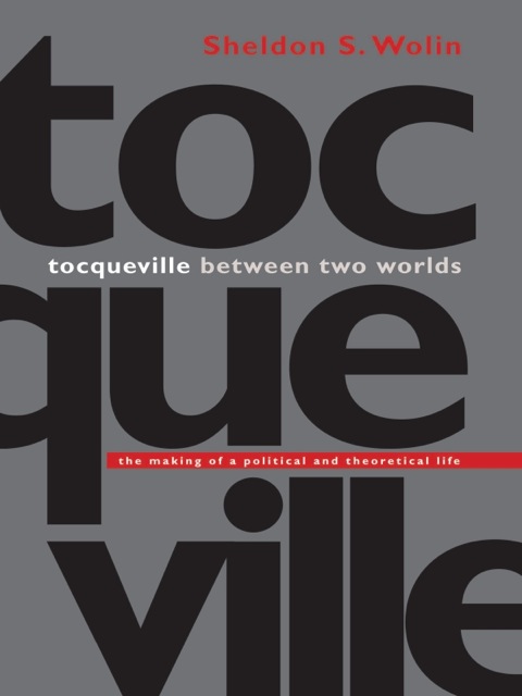 Cover image for book Tocqueville between Two Worlds
