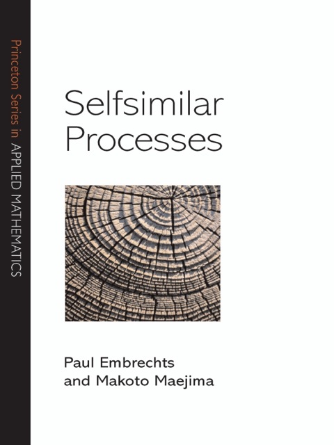 Cover image for book Selfsimilar Processes