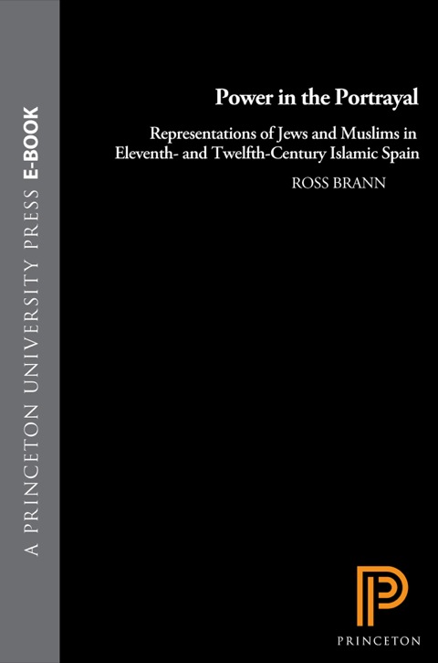 Cover image for book Power in the Portrayal