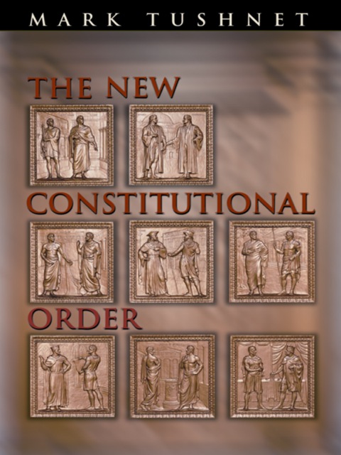 Cover image for book The New Constitutional Order