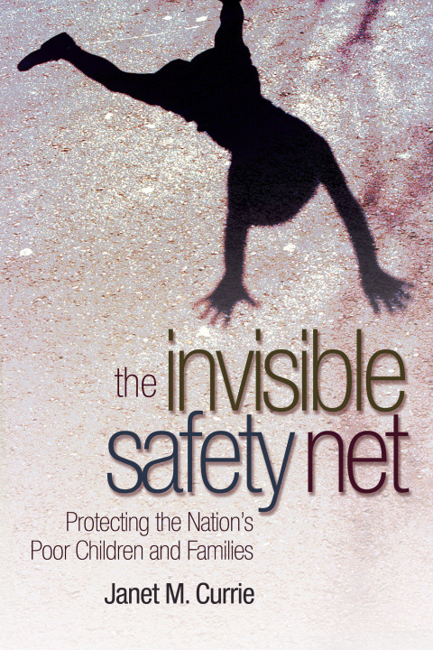 Cover image for book The Invisible Safety Net