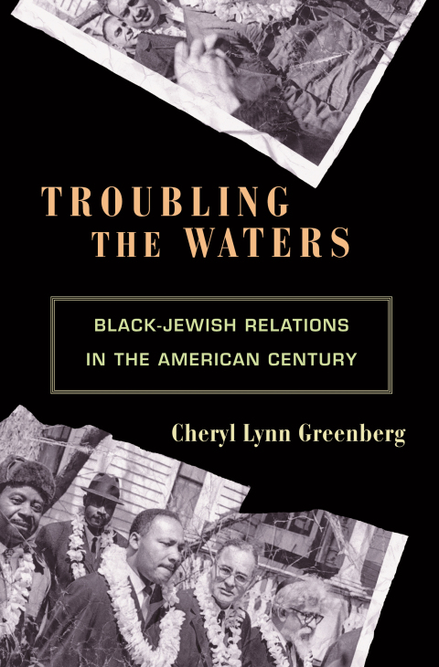 Cover image for book Troubling the Waters
