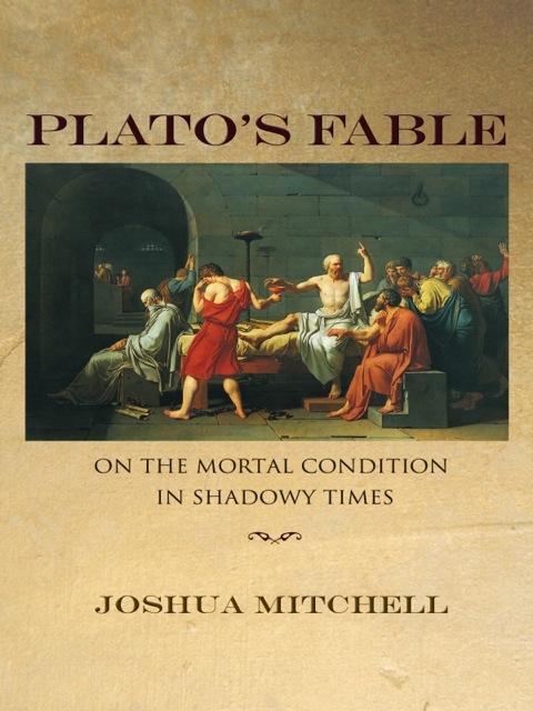 Cover image for book Plato's Fable